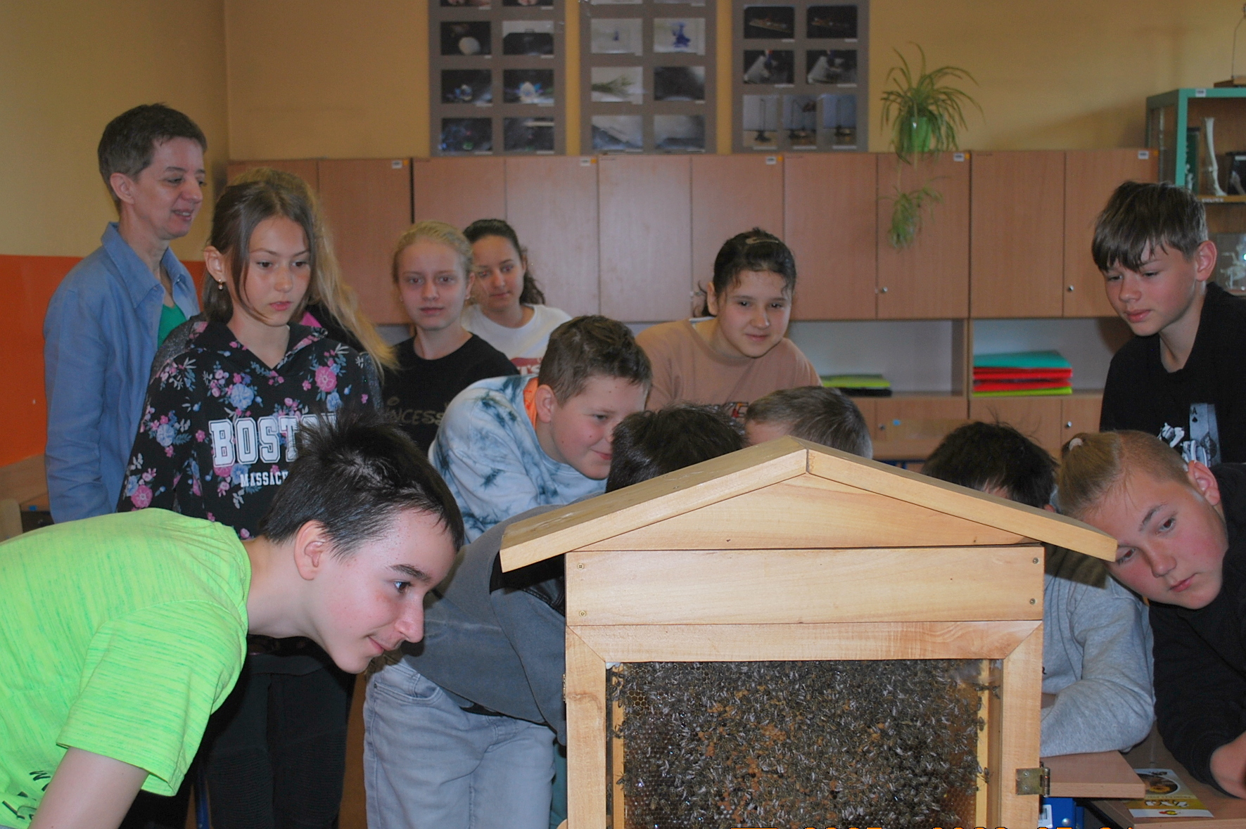 Uczniowie jednej ze szkół w powiecie oświęcimskim przypatrują się pracy pszczół.