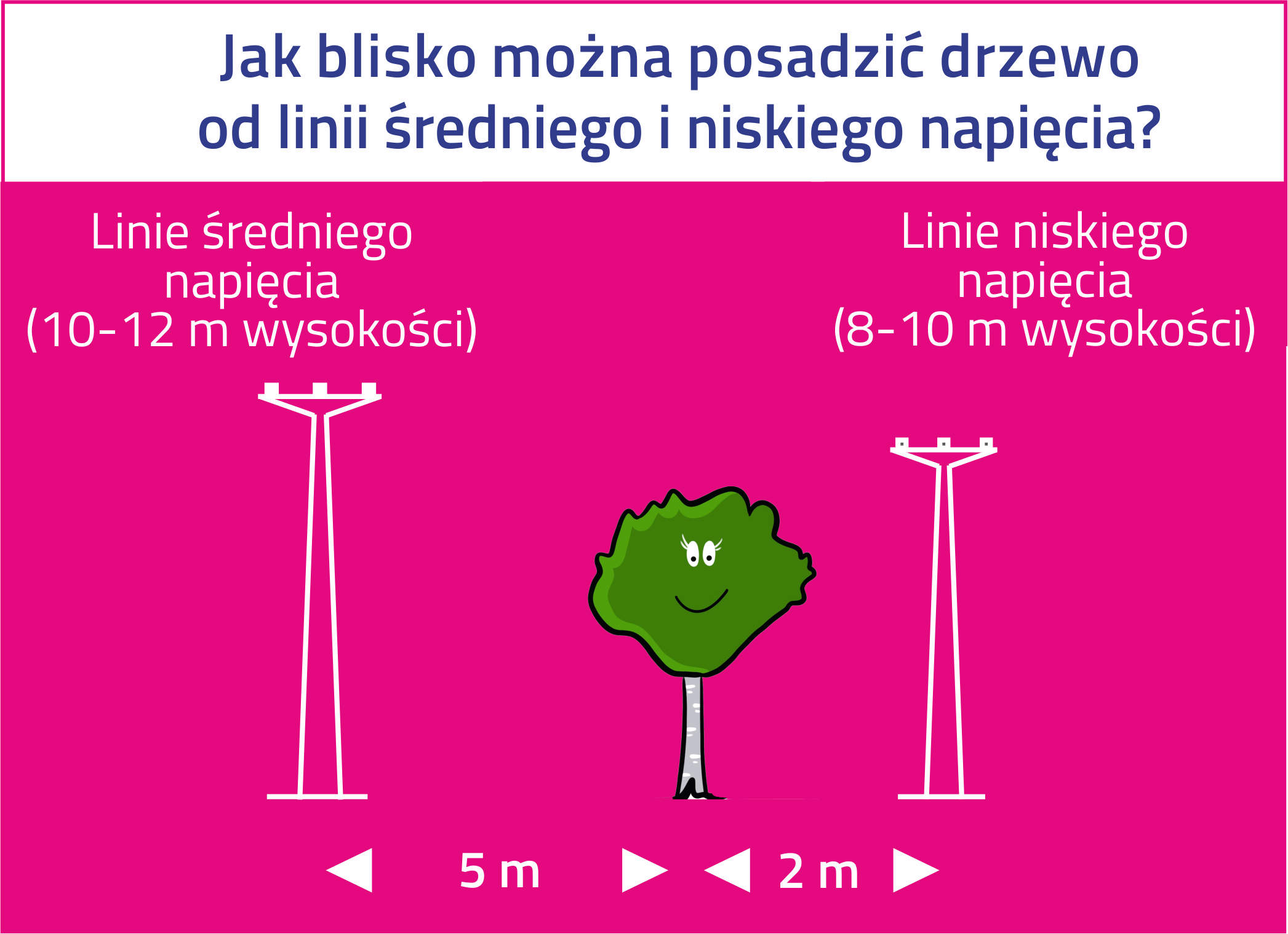 Grafika, na której na różowym tle wyznaczone są odległości, w jakich od linii niskiego i średniego napięcia można sadzić drzewa
