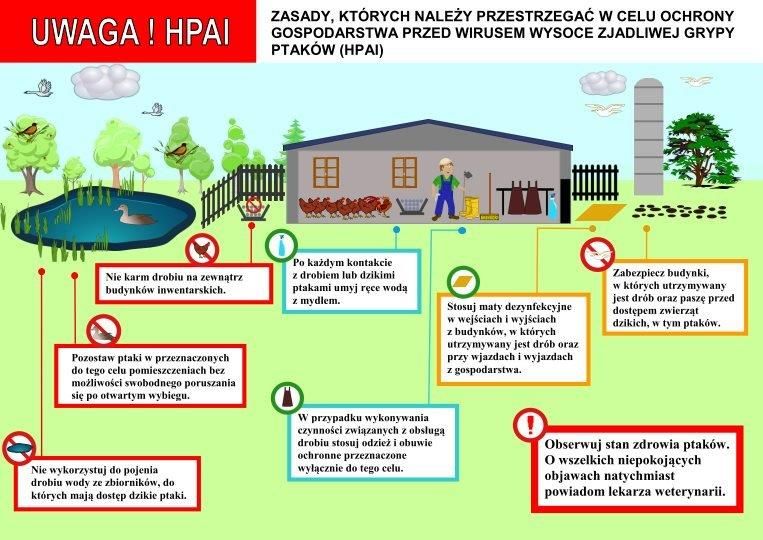 Obraz z informacją o zasadach ochrony gospodarstwa przed HPAI