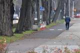 Drogowcy w mig uporali się z przebudową drogi powiatowej w Oświęcimiu