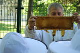 Warsztaty pszczelarskie w pasiece ekologicznej w Harmężach