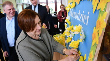 Obraz główny aktualności o tytule Żonkile pachną nadzieją 