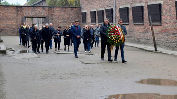 Obraz główny aktualności o tytule Z niemieckimi partnerami o historii, ekologii i wymianie młodzieży 