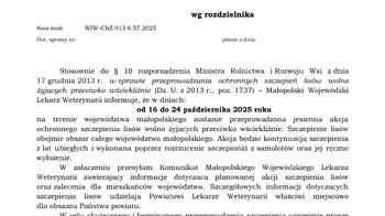 Obraz główny aktualności o tytule Akcja szczepienia lisów wolno żyjących przeciwko wściekliźnie 2025 