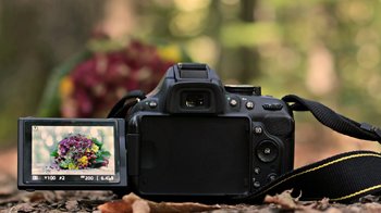 Obraz główny aktualności o tytule Doskonal swój warsztat fotograficzny z profesjonalistą z Akademii Nikona 