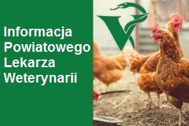 Obraz główny aktualności o tytule Rozporządzenie Powiatowego Lekarza Weterynarii w sprawie zwalczania wysoce zjadliwej grypy ptaków (HPAI) oraz zasady ochrony drobiu. 