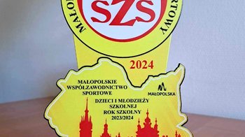 Obraz główny aktualności o tytule Powiat Oświęcimski wśród najlepszych w sportowej rywalizacji w Małopolsce 