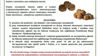 Obraz główny aktualności o tytule Akcja szczepienia lisów wolno żyjących przeciwko wściekliźnie 