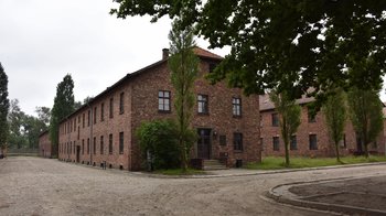 Obraz główny aktualności o tytule Nowa wystawa „Polacy w KL Auschwitz”