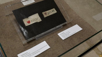 Obraz główny aktualności o tytule Niewolnicza praca w Karnej Kompanii Kobiet KL Auschwitz 