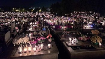 Obraz główny aktualności o tytule W drodze na groby bliskich 