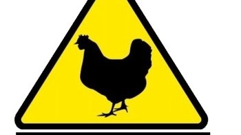 Obraz główny aktualności o tytule Rozporządzenie Wojewody Małopolskiego z dnia 20.01.2023r. w sprawie zwalczania oraz zapobiegania wysoce zjadliwej grypy ptaków (HPAI) 