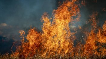 Obraz główny aktualności o tytule W zeszłym roku strażacy z naszego powiatu nie narzekali na brak pracy 