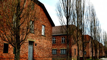 Obraz główny aktualności o tytule Muzeum Auschwitz reaguje na kłamstwa negacjonistów 