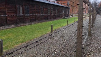 Obraz główny aktualności o tytule Rocznica utworzenia Państwowego Muzeum Auschwitz-Birkenau 