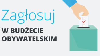 Obraz główny aktualności o tytule Wykorzystaj swój głos 